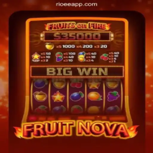 Exploring the Alluring World of FruitNova: An Engaging Game Experience