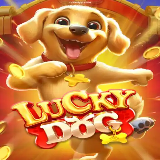 Discover the Thrilling World of LuckyDog and RioEE Casino